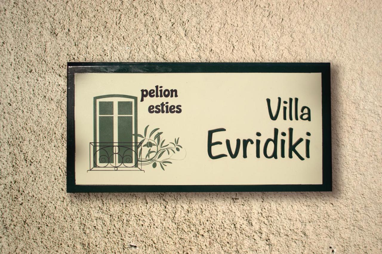 Villa Evridiki By Pelion Esties أجيوس جورجيوس نيلياس المظهر الخارجي الصورة